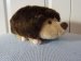 Plush Hedgehog Soft Toy - Ark Toys - 24cm