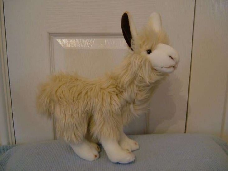 Soft Toy Llama Dowman Soft Touch Cream