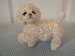 White Poodle Puppy - Ornament / Figurine - Living Stone