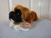 Soft Toy Boxer Dog - Russ Berrie - Yomiko - Small - 30cm