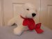 Seal Plush : White Seal Pup - Keel Toys