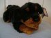 Rottweiler Soft Toy - Dowman Soft Touch - 38cm