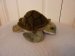 Turtle - Plush Toy - Ravensden - Green - 24cm